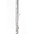 CB MUSA flute E-1. Puche - flute
